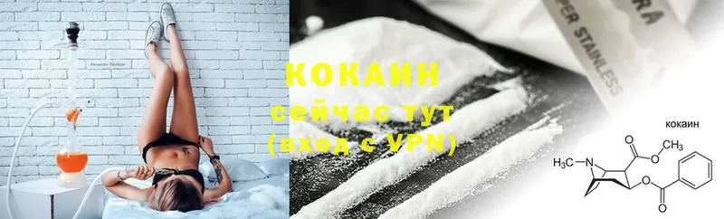 сколько стоит  Богучар  Cocaine Fish Scale 